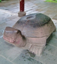 Schildkröten brachten schon immer Glück
